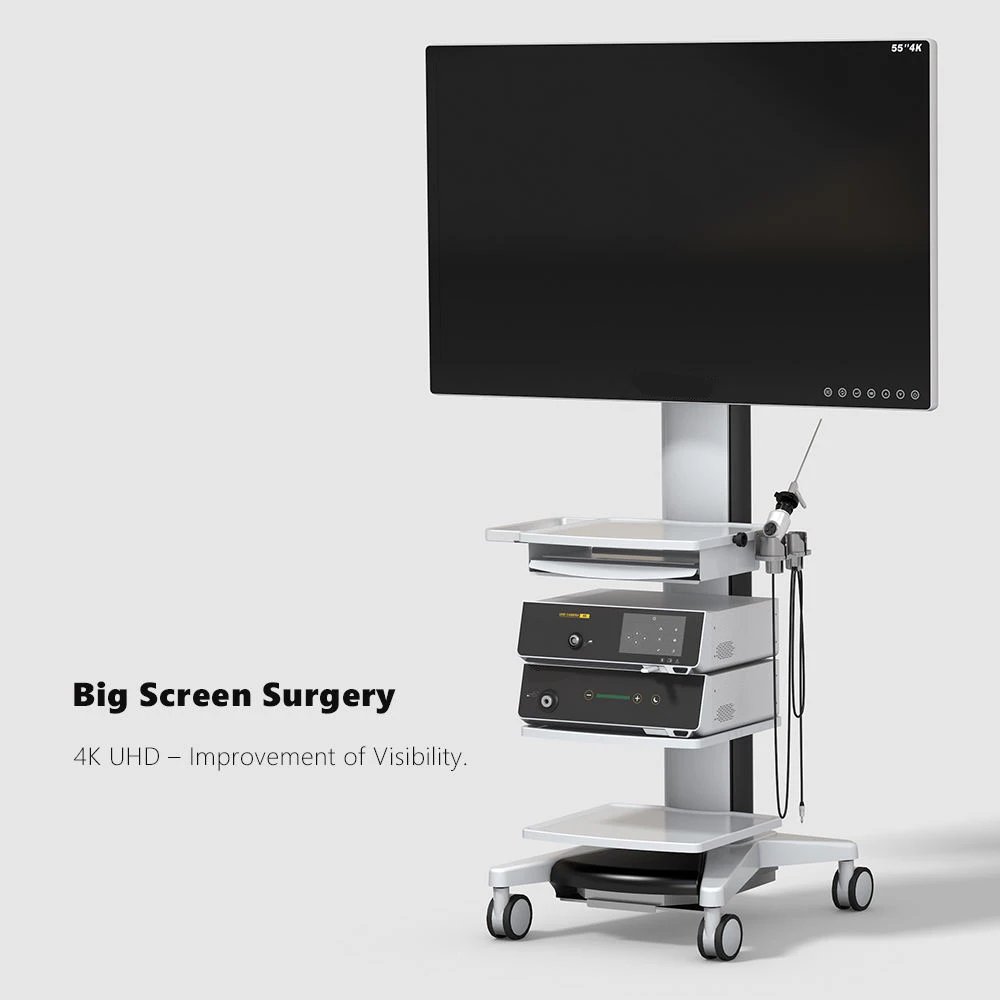 Camjoy CY203UT 4K Medical endoscope camera system equipped with camera led light source monitor UHD 4K HD recorder