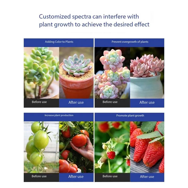 High Bay LED Full Spectrum Grow Lights Indoor Dragon Fruit Planting Greenhouse Greenhouse Greenhouse Planting Dragon Lights