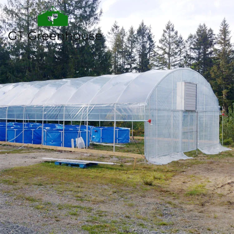 GT Invernadero Hot Selling Low Cost Single-span Agriculture Tunnel Greenhouse plastic film