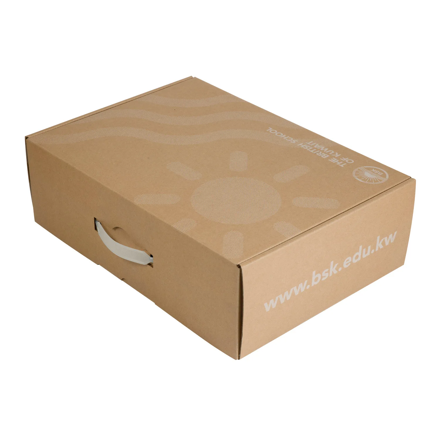 Custom Logo Cheap Plain Cardboard Clothing Shoes Delivery Corrugated Mailer Paper Shoe Box Packaging for Clothing