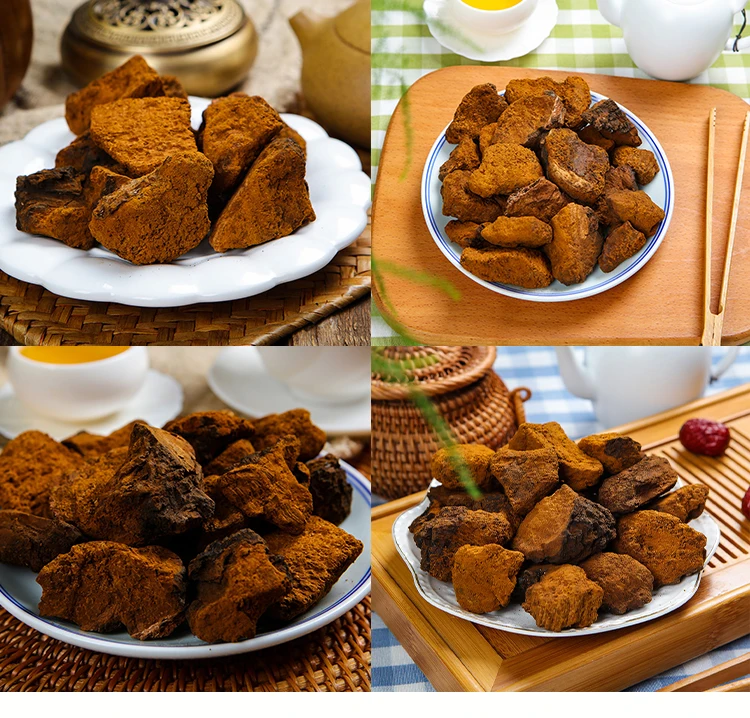 High Quality Birch mushroom Ganoderma lucidum cultivate wild Black Lingzhi Brown Hole Chaga Siberian Lingzhi