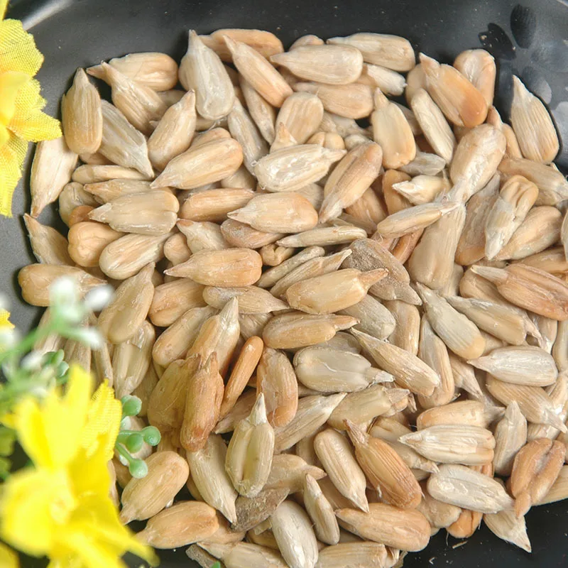 
2019 New Crop Sunflower Seeds 5009 Wholesale Price China Origin 
