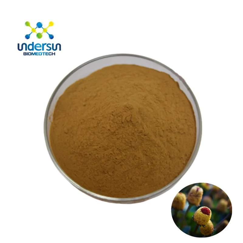 Горячая Распродажа, полисахариды, экстракт антродии 30% 50%, экстракт антродии камфоры