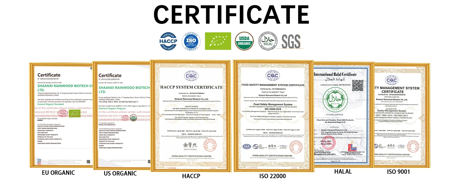 Factory Supply CAS 112163-33-4 Bovine Lactoferrin Powder 98% Lactoferrin Powder