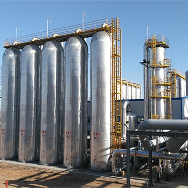 Простая эксплуатация 99% CO2 CH4 переработка очиститель биогаза и H2S для наполнитель листьев растений