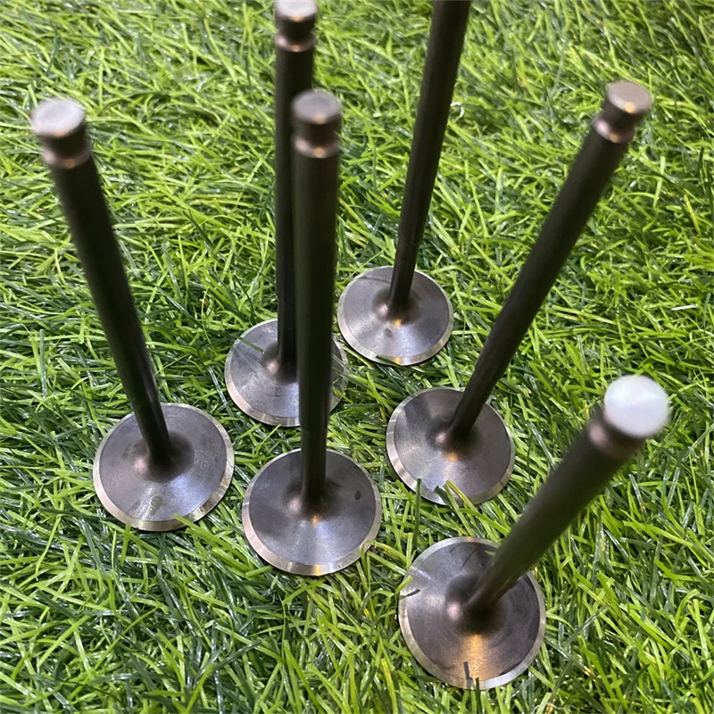 Factory Price CSRK OEM 21x85.5x5 Racing Motorcycle Engine Component Intake Valve