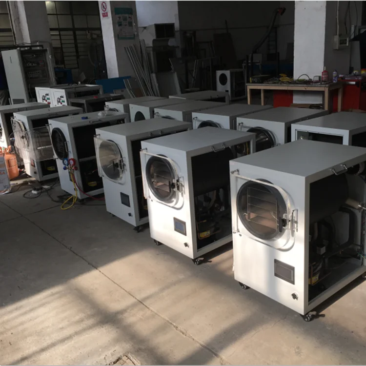 2019 популярная Вакуумная сушилка для фруктов, овощей, насекомых, цветов, чая, лиофилизатор, Дегидратор