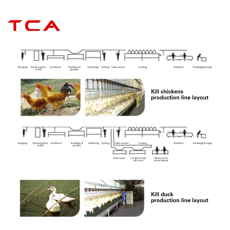 XDX Mini Poultry Slaughter Processing Plant For Sale