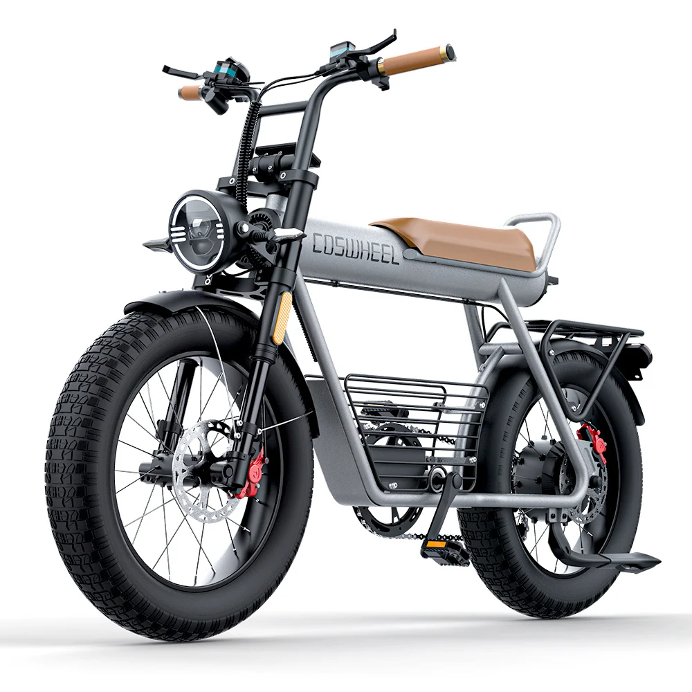 3 Seat 25/30Ah High Power High Quality 20 Fat Tire 750W Electric Big Bike Ebike Brake Hydraulic Electric Bicycle