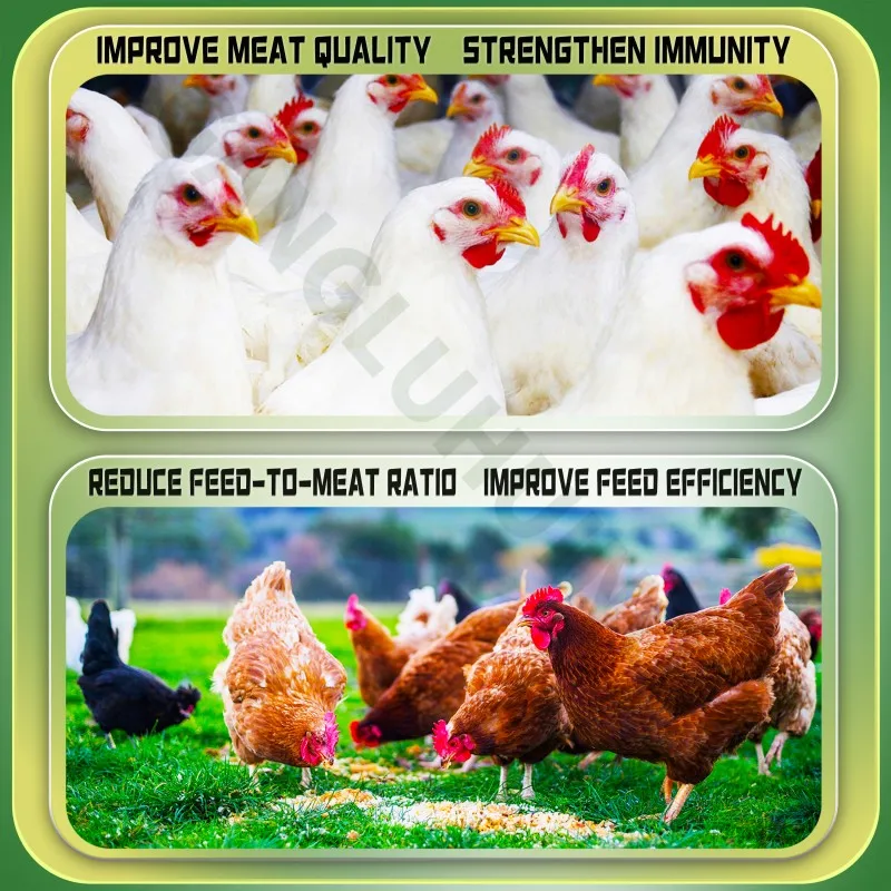 AC3E Vitamin Powder Probiotics Premix For Rate enhance immunity livestock feed additive