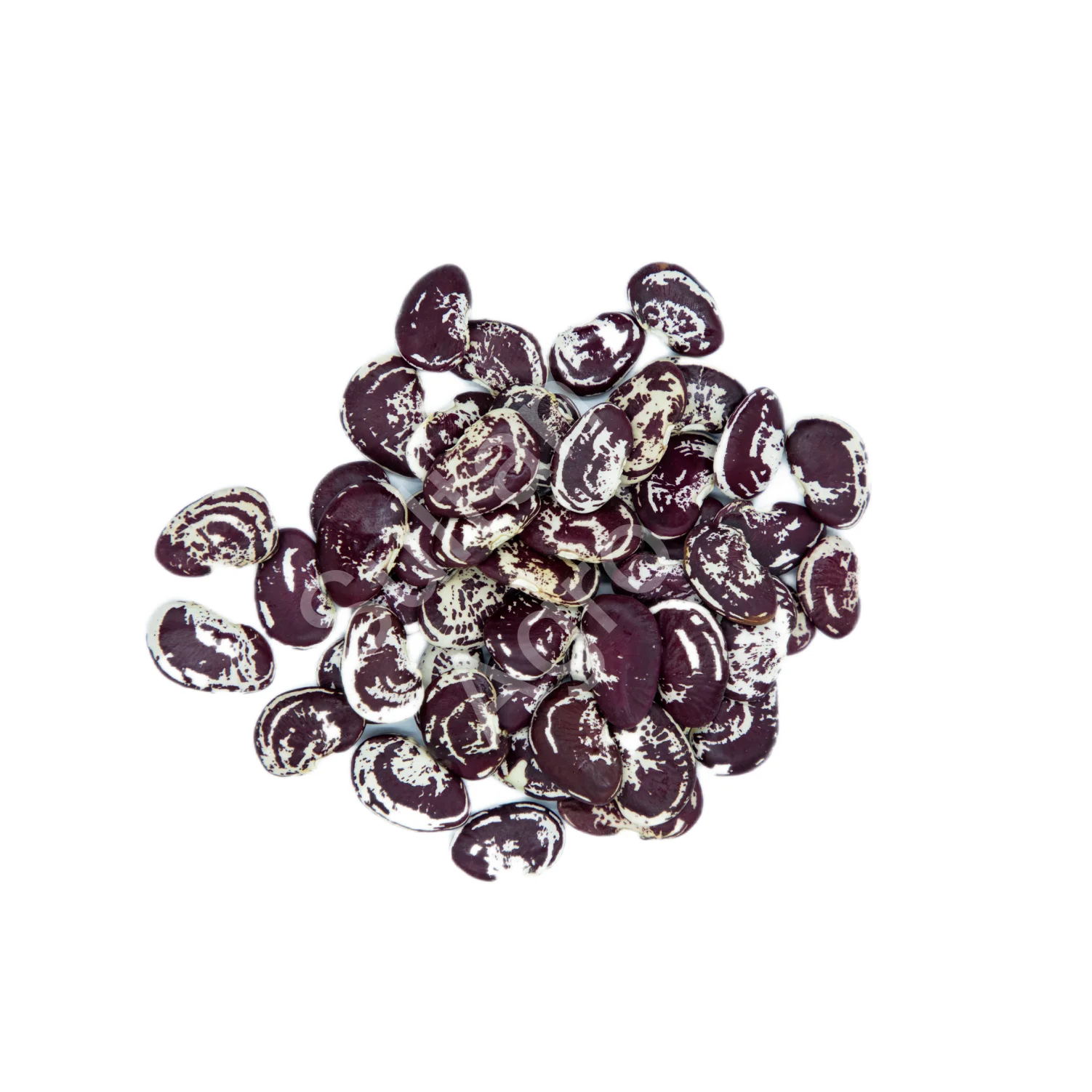 Натуральная красная зернистая фасоль, Высококачественная Органическая фасоль оптом от производителя Узбекистана