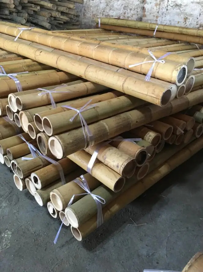 Moso bamboo poles for construction