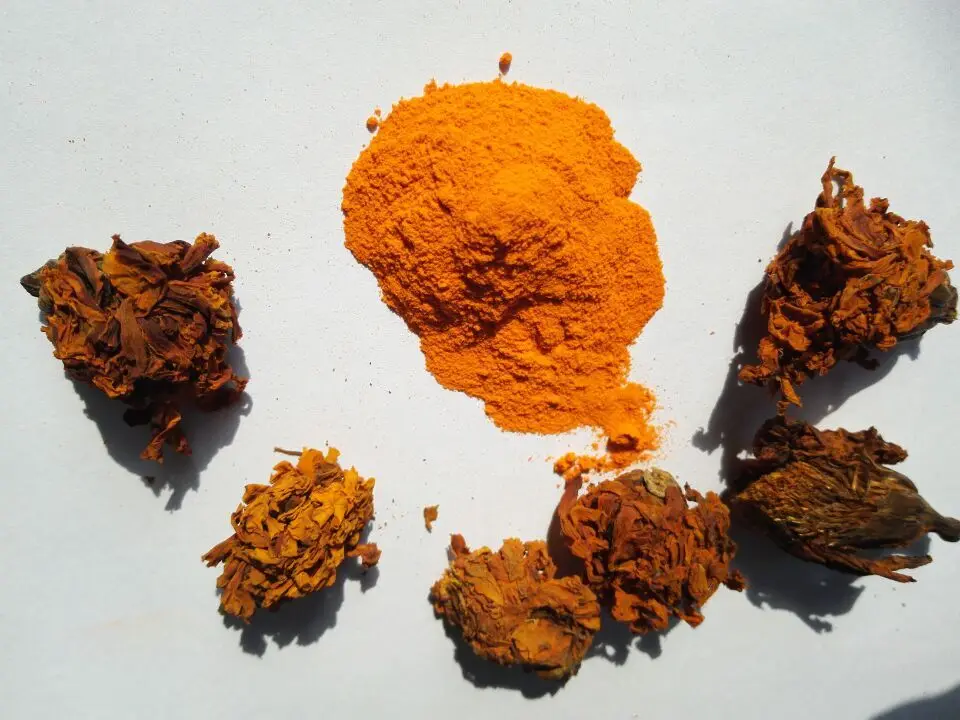
Lutein (L) Meso-zeaxanthin (MZ) & Zeaxanthin (Z) Marigold Extract 