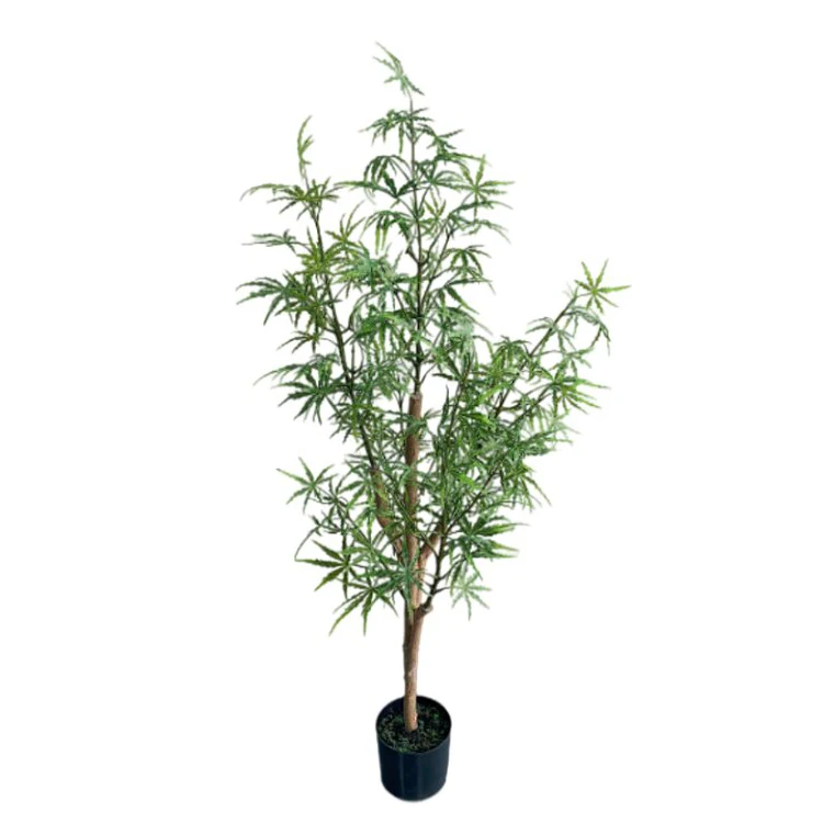 Real Touch 160cm High Dizygotheca Elegantissima Plant Tree Maceta Planta Artificial for Drawing Room Decor Arboles Trees