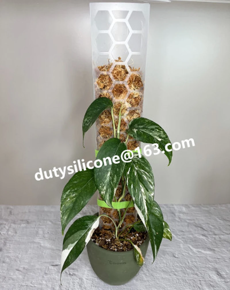 plastic Honeycomb Coir water Moss Poles Stick For Plant Stands column,climbing Indoor Plants Moss Poles Transparent