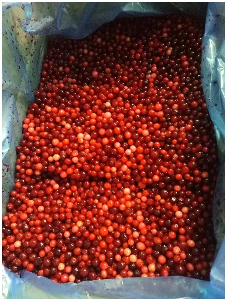 Hot Selling Economical Bulk IQF Frozen Lingonberry High Demand China Frozen Fruits