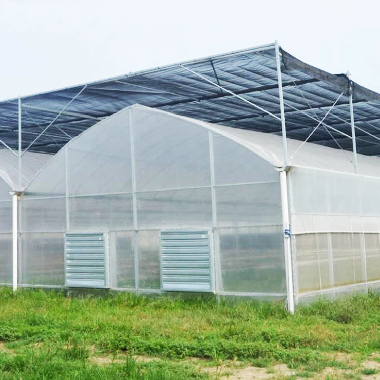 Agriculture Multi-span Arch Plastic Film Multi-span Greenhouse For Tomato And Strawberry