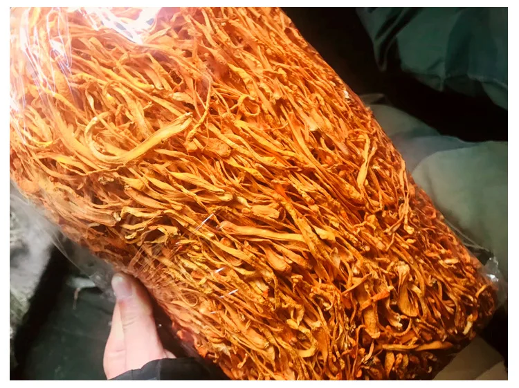 golden Mushroom Militaris Dried Cordyceps Flower for sale