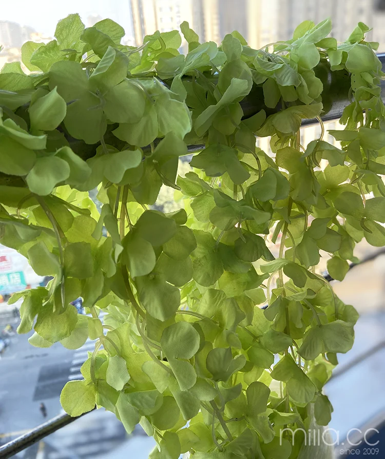 green flowers vines.png