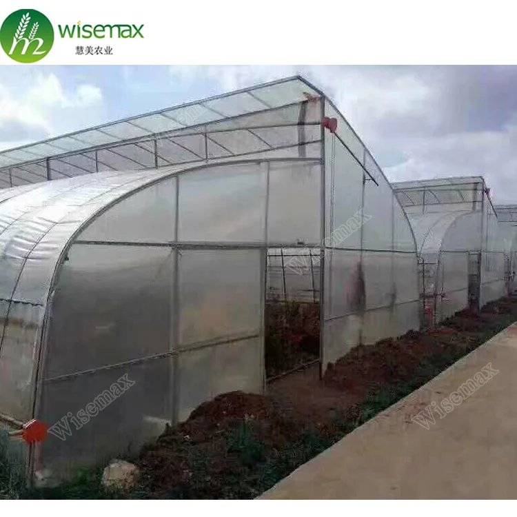 Hydroponic growing system single span tunnel venlo greenhouse for tomato