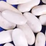 
New Crop High Quality Organic White Kidney Beans 