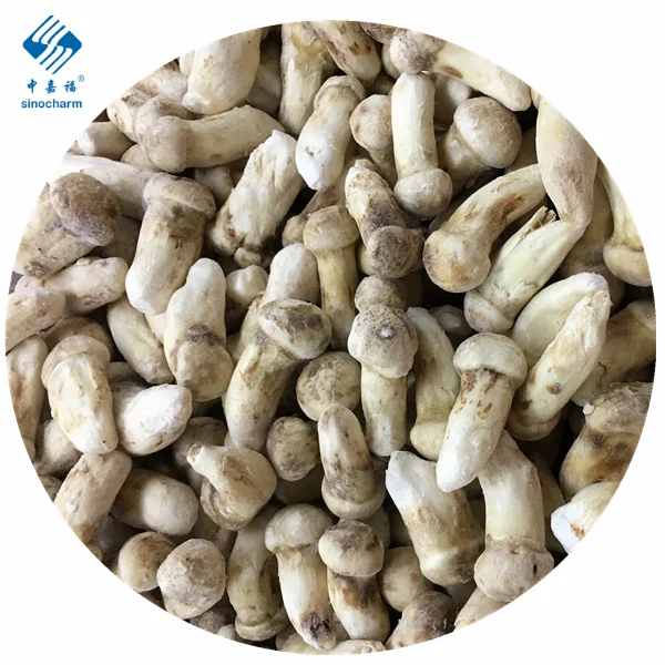 High Quality IQF Frozen Wild Natural Matsutake Whole Matsutake Slice