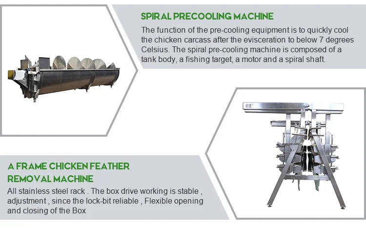 China supplier hot sell reliable complete chicken slaughtering machine