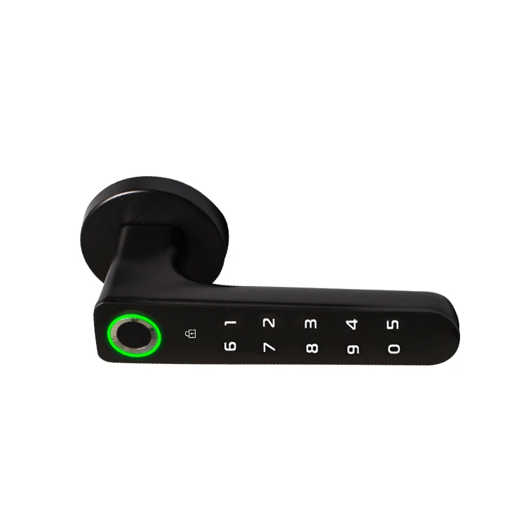 Мини-замок со сканером отпечатков пальцев, пароль, управление смартфоном, биометрический цифровой дверной замок