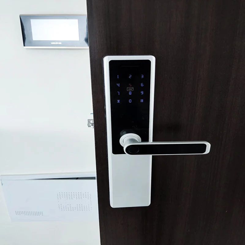 Remote APP Apartment Management Smart Fingerprint Lock Homestay Hotel Rental House Anti-theft Door Password Lock