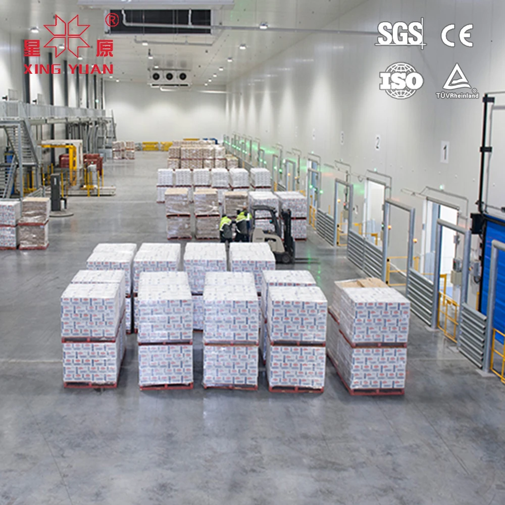 China New Star 5000t support refrigerator cold storage room commercial controlled atmosphere south africa
