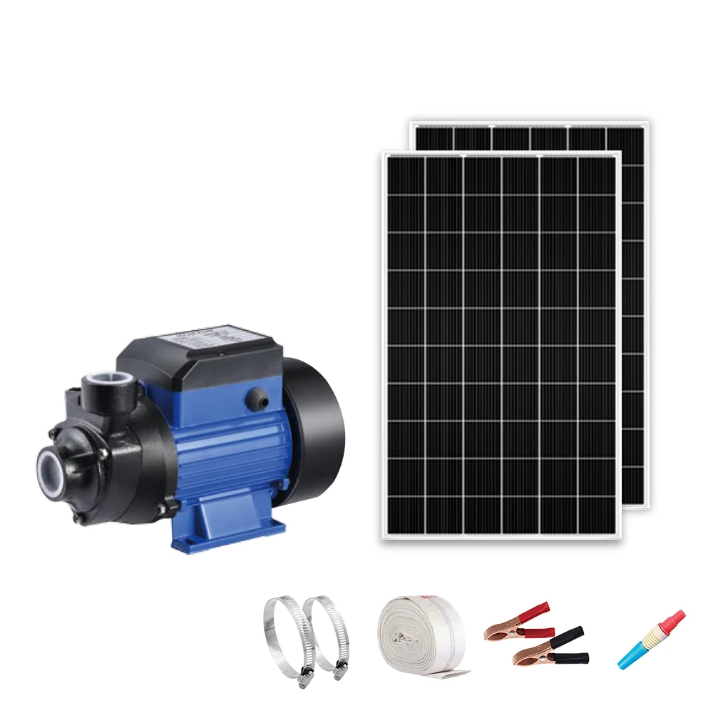 Custom Deep Well Submersible High Pressure Powered 4 Inch 12V 24V DC Solar Water Pump