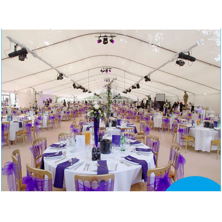 T-SUN модная обувь на каблуке 10m x 60m большая арка для свабед и