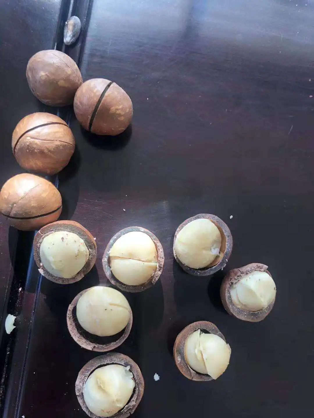 Macadamia Nuts Roasted Macadamia Organic Macadamia Nuts