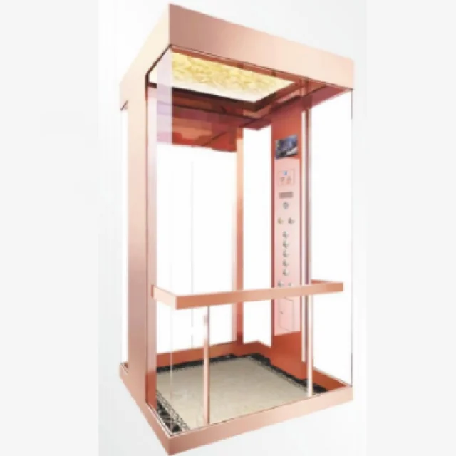 Panoramic glass home elevator automatic double door home elevator lift