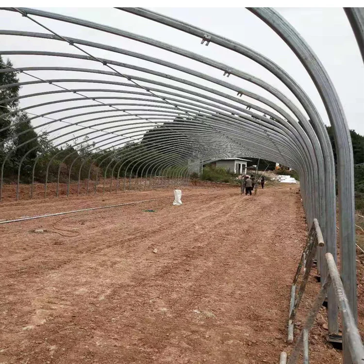 8x30m Agriculture Tomato Greenhouse Frames Plastic Film Single Span Tunnel Greenhouses