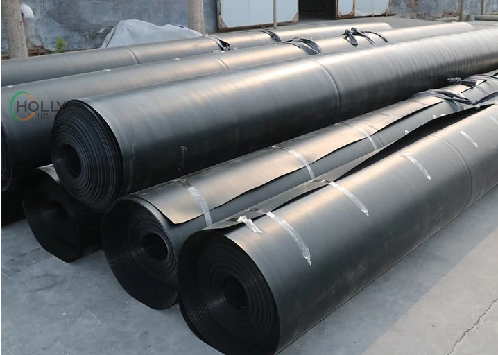 HDPE Geomembrane for Fish Pond/Agriculture/Dam/Landfill/Lake/Biogas/Aquaculture Project
