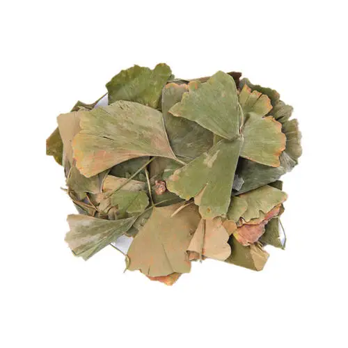
Natural 100% ginkgo biloba leaves 