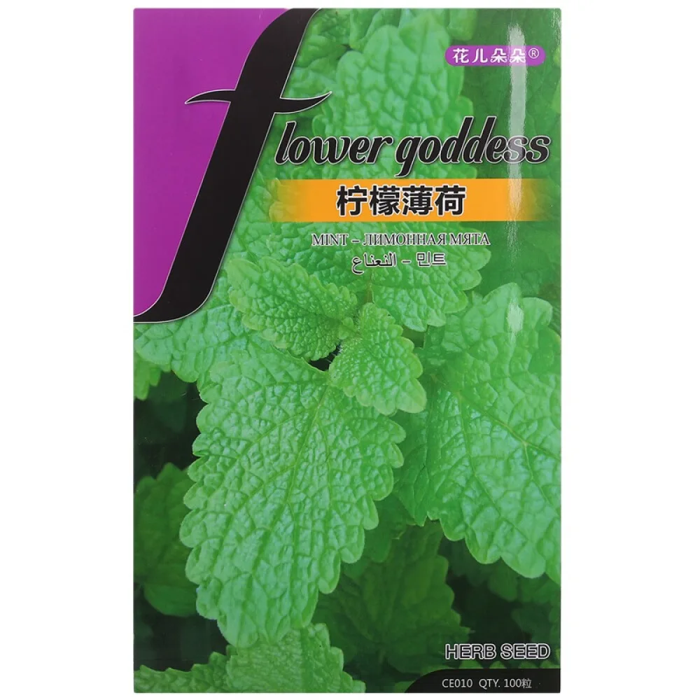 
High Purity Natural Herb Mint Peppermint Plant Seeds For Growing Mentha Seeds 