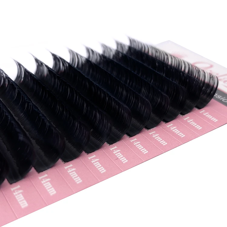 Qeelasee multi packaging korea pbt private label silk eyelash extensions