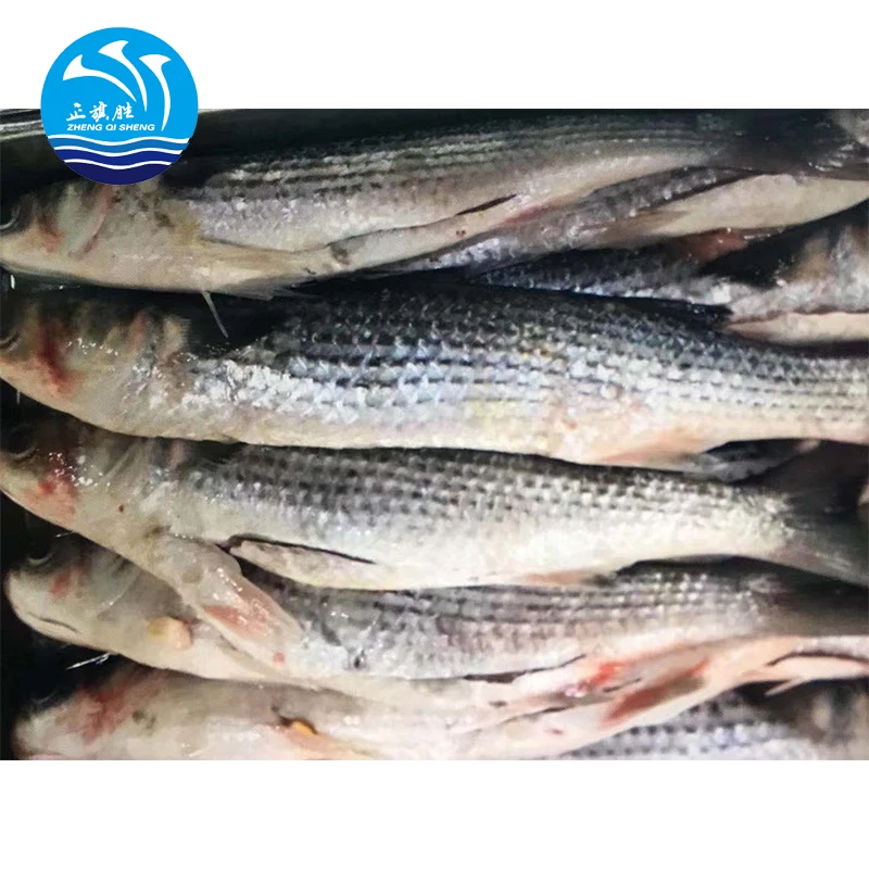Китайские морепродукты замороженные овощи 6-7 шт. в коробке серый муллет