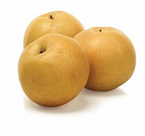 Sell High-Quality Fresh Natural Fresh Fengshui Pear