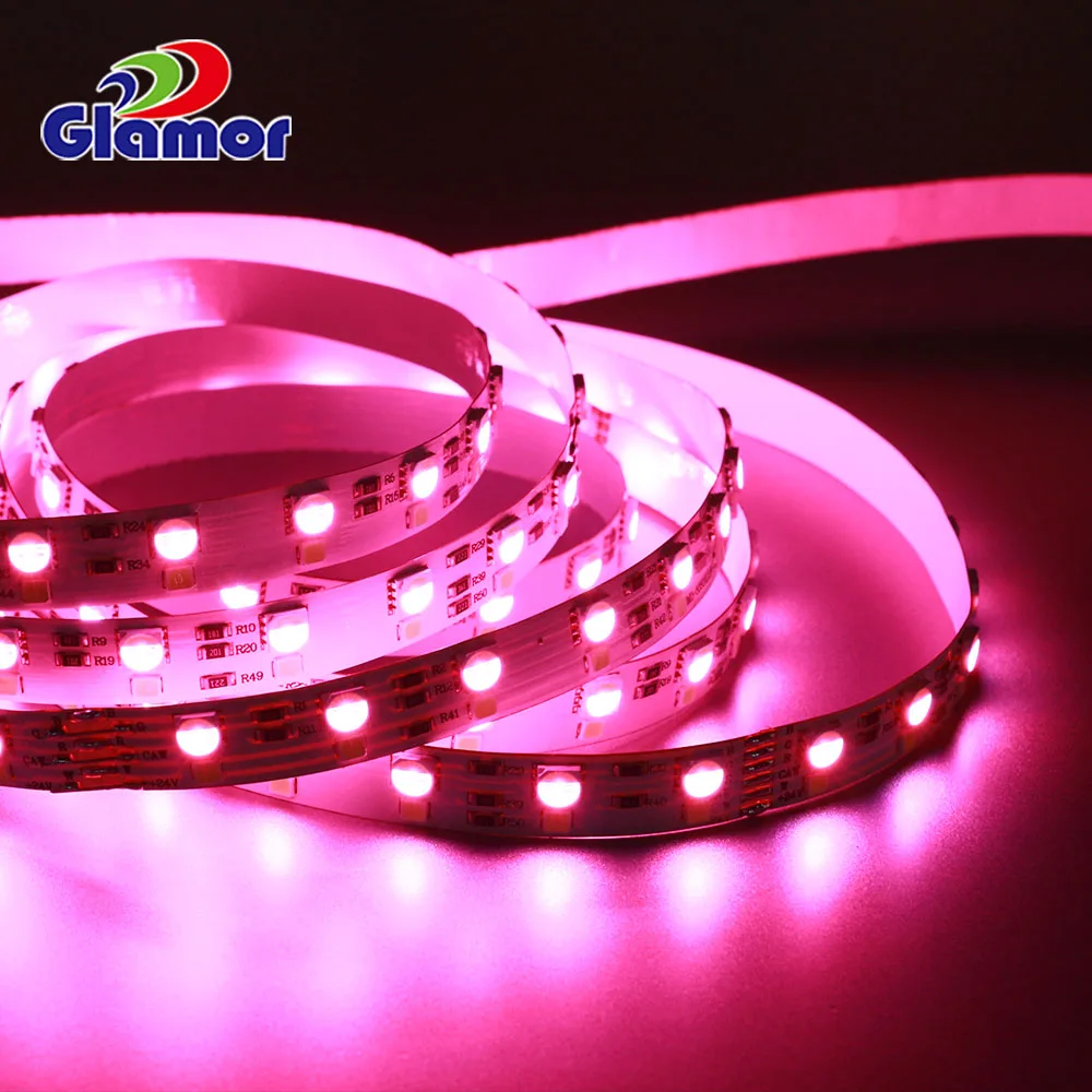 Factory OEM rgb remote control 5m 10m multi color safe 12V 24V TV KTV mood lights rgbw led strip