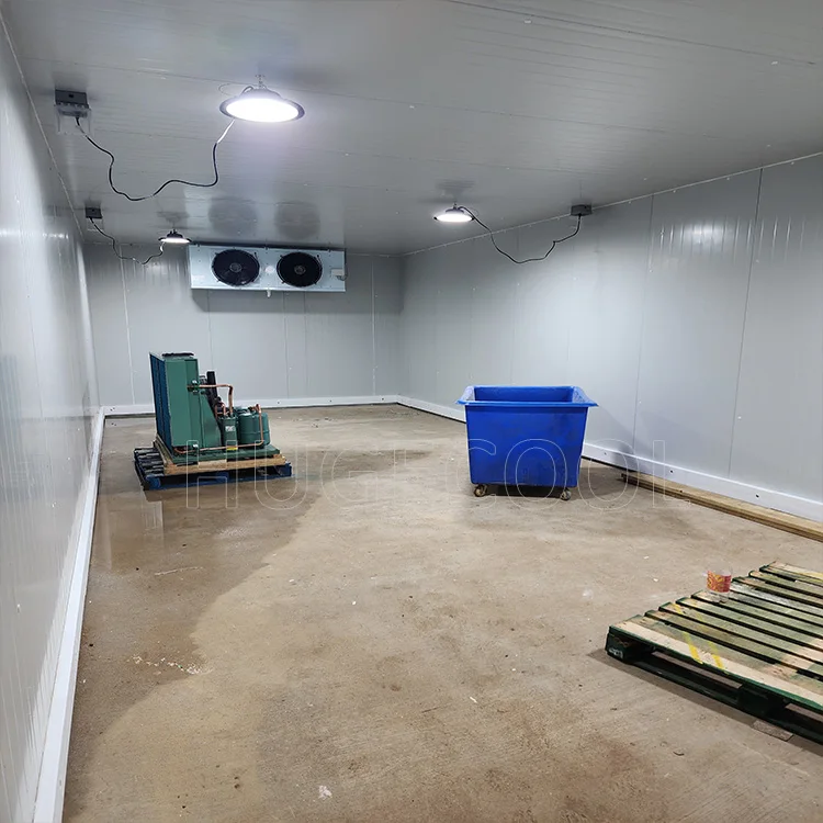 Commercial container cold room equipment manufactures