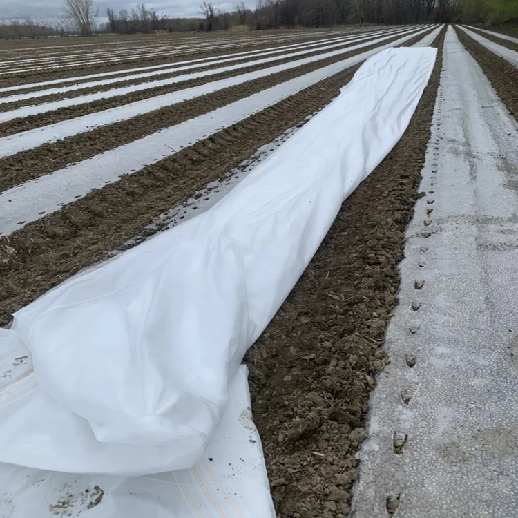 PP Floating Row Cover Spun bond Nonwoven/Frost protection Fabric crop cover splicing non woven fabric