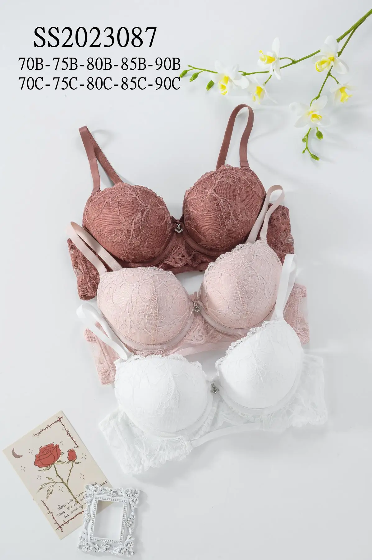 2024 High Quality Women Sexy Bra Full Lace Bra Beautiful Shoulder Straps Padded Bralete for Ladies Adults Knitted Plain Dyed