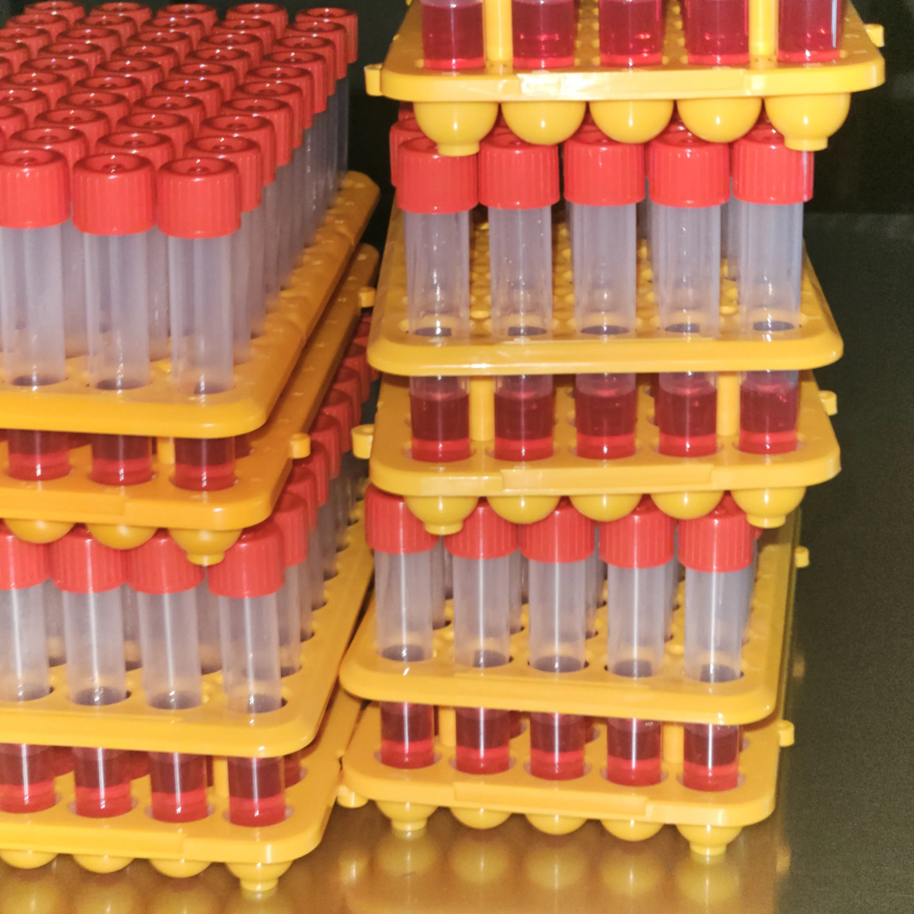 Salmonella-Shigella Agar (SS Agar)
