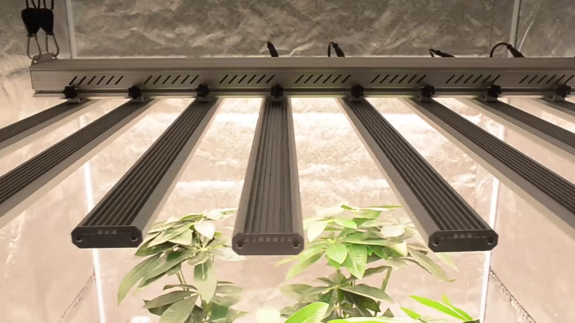 1000W Dimmable Hydro Full Spectrum CO2 1000 watt LED Grow Light 1000W LED GROW LIGHT 10 Bar UV IR