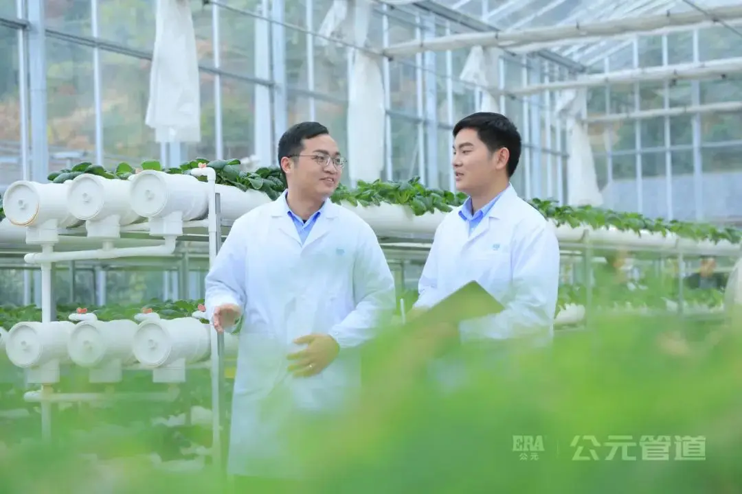 Era garden sprinklers irrigation watering irrigation sprinkler Irrigation System sprinkler series