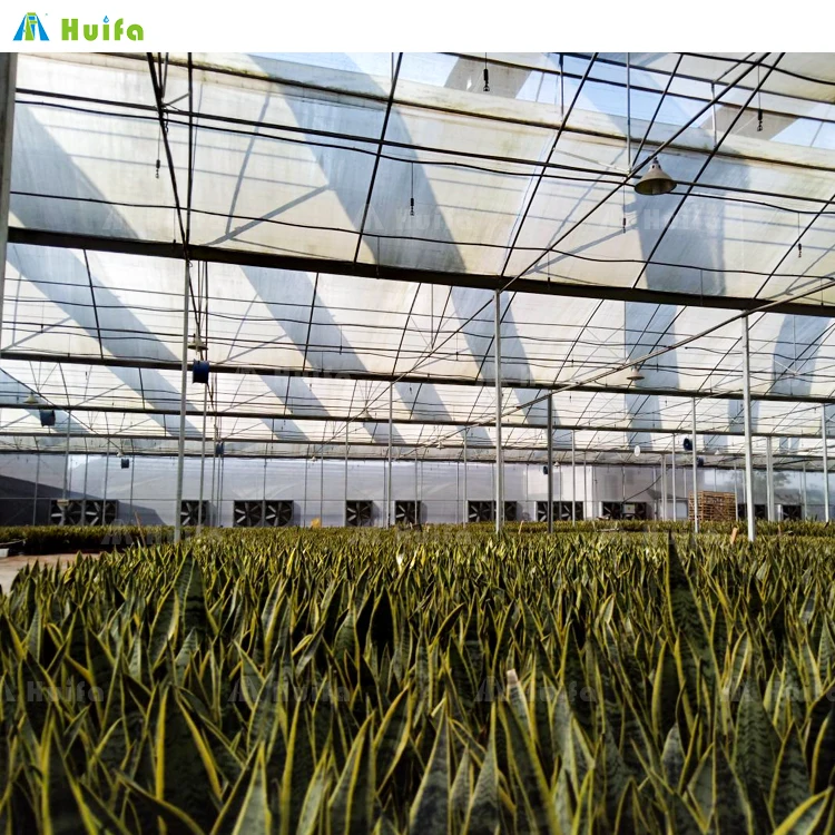 Hydroponic Growing Systems Greenhouse Fertigation System Agricultural Greenhouse Morocco