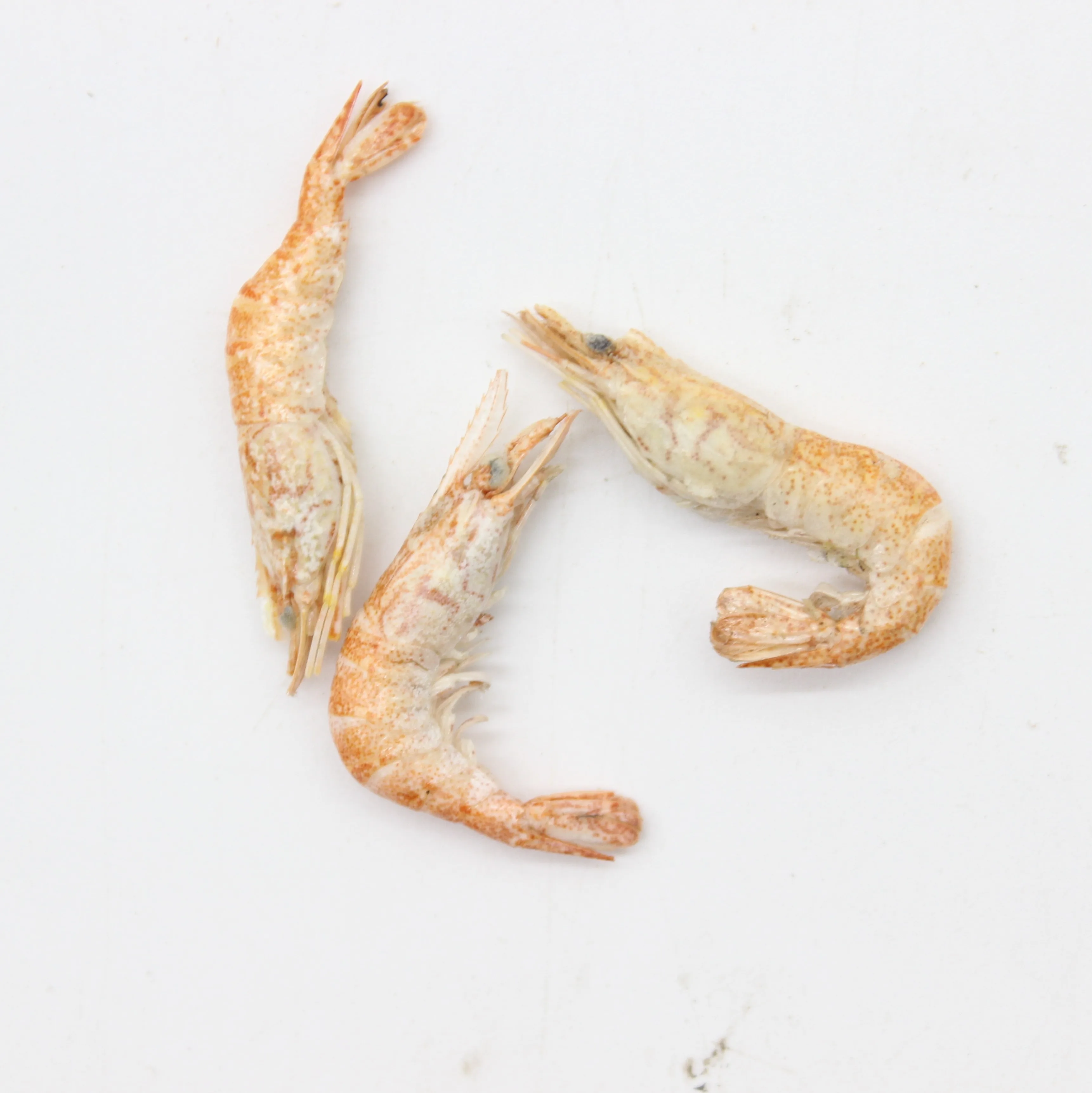 
Top quality organic dried shrimp aquarium fish food 